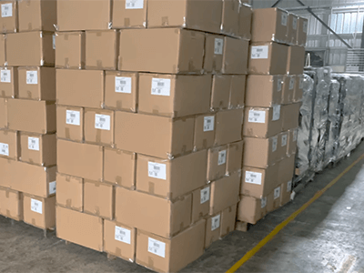 Expédition mondiale